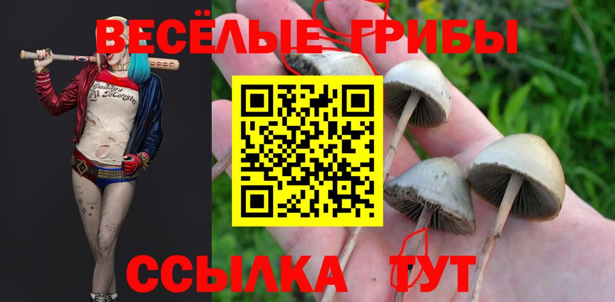 Галлюциногенные грибы GOLDEN TEACHER  Псилоцибиновые грибы Psilocybe  Саранск  Вход с VPN 